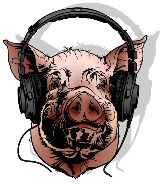 Colored Drawing Pig Headphones His Head Illustration Isolated White Background — Stock Vector