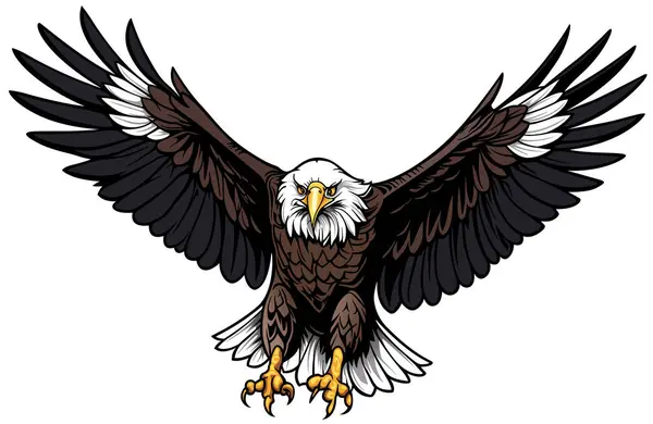 Front View Flying Bald Eagle Colored Illustration Isolated White Background Vectorbeelden