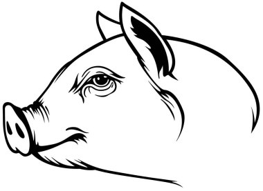 Piggy Head 'in Siyah Çizimi Beyaz Arkaplanda İzole Edildi - Görüntü Tarafından Görüntü, Vektör