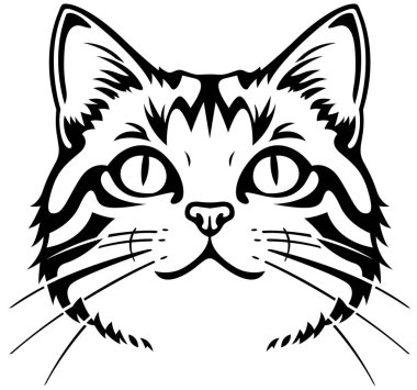 Cats Head 'in Siyah Çizimi Beyaz Arkaplanda İzole Edildi - Görüntü, Vektör