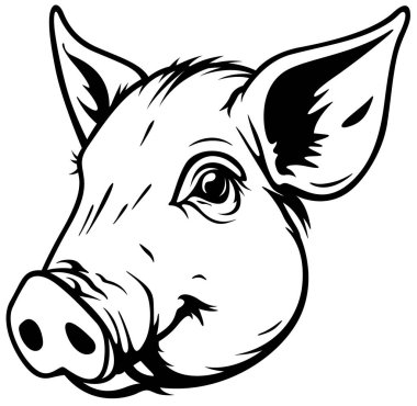 Piggy Head 'in Siyah Çizimi Beyaz Arkaplanda İzole Edildi - Görüntü Önden Görüntü, Vektör