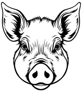 Piggy Head 'in Siyah Çizimi Beyaz Arkaplanda İzole Edildi - Görüntü Önden Görüntü, Vektör