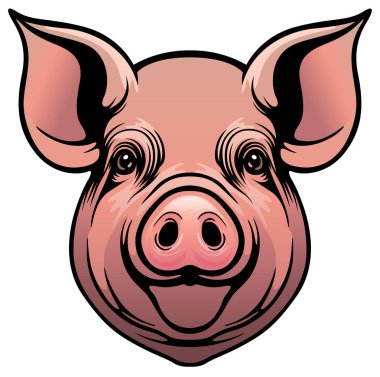 Piggy Head 'in Renkli Çizimi Beyaz Arkaplanda İzole Edildi - Görüntü Önden Görüntü, Vektör