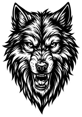 Kurt kafası çizimi bir dövme tasarımı - beyaz arkaplanda izole edilmiş siyah beyaz çizim, Vektör