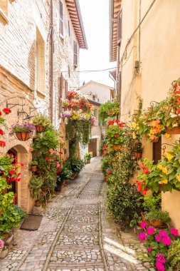 Spello, İtalya - Haziran 2021: Antik caddede çiçekler. Spello İtalya 'nın Umbria bölgesinde yer almaktadır..