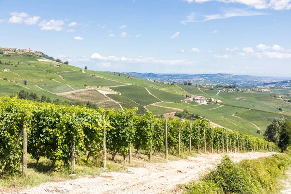 Panoramisk Landsbygd Piemonte Italien Naturskön Vingård Kulle Nära Barolo — Stockfoto