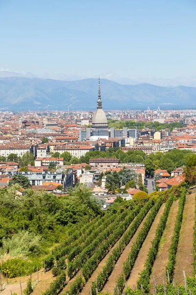 Turin Italie Août 2022 Panorama Avec Monument Mole Antonelliana Vignoble — Photo
