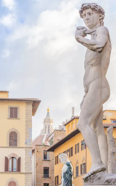 David Michelangelo Florens Italien Exempel Kroppens Perfektion Marmor — Stockfoto