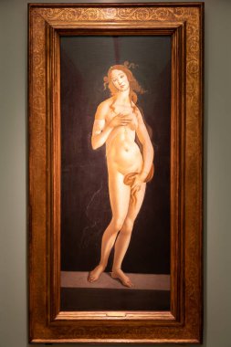 Torino, İtalya - Nisan 2023: Sandro Botticelli 'nin Venüs tablosu, 1490