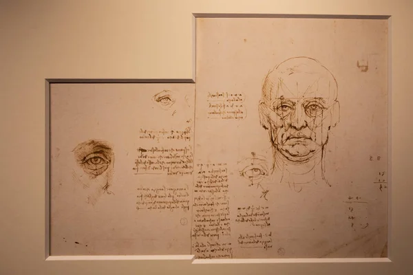 Turyn Włochy Kwiecień 2023 Rysunki Leonarda Vinci Papierze Bawełnianym Biblioteka — Zdjęcie stockowe