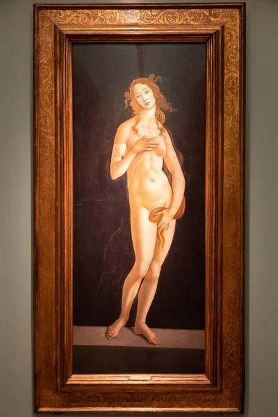 이탈리아 토리노 2023 산드로 보티첼리의 캔버스 1490 — 스톡 사진