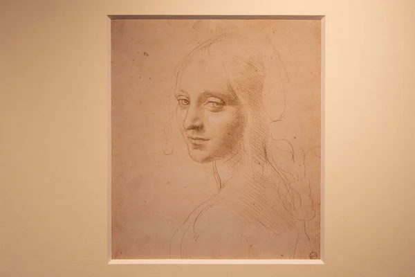 Turyn Włochy Kwiecień 2023 Rysunek Leonarda Vinci Biblioteka Królewska Twarz — Zdjęcie stockowe