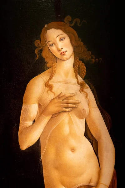 Turyn Włochy Kwiecień 2023 Obraz Wenus Sandro Botticellego Olej Płótnie — Zdjęcie stockowe