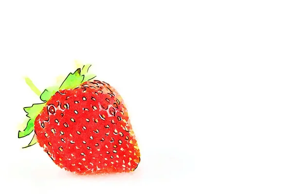 Creative Illustration Vintage Watercolor Design Strawberry Isolated White Background — Stockfoto