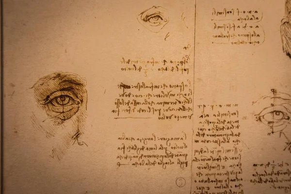 Turin Italien April 2023 Leonardo Vinci Zeichnungen Auf Handgeschöpftem Baumwollpapier — Stockfoto