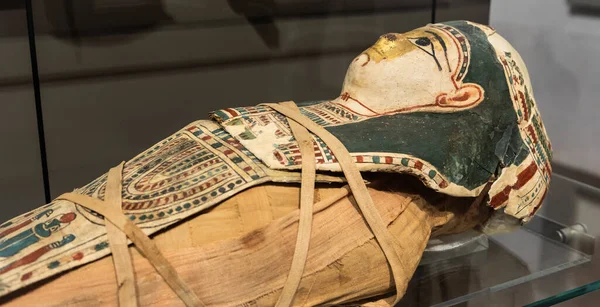 Turín Itálie Březen 2023 Egyptské Muzeum Mumie Dítěte Maskou Století — Stock fotografie