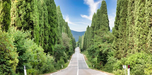 Toskana, İtalya. Doğada asfalt çizgi, Bolgheri 'ye giden panoramik yol