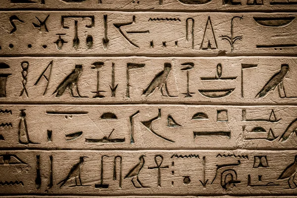 Ancient Egyptian Hieroglyphics Vintage Background — Stockfoto