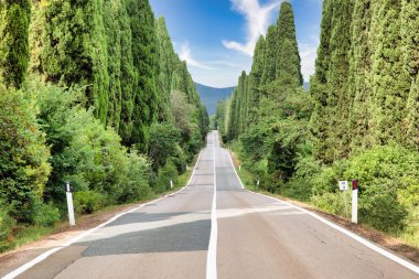 Toskana, İtalya. Doğada asfalt çizgi, Bolgheri 'ye giden panoramik yol