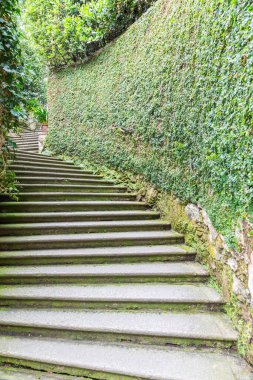 Doğadaki eski merdivenler. Bahçe mimarisi tasarımı, tarihi kaldırımlı yeşil doğal yol