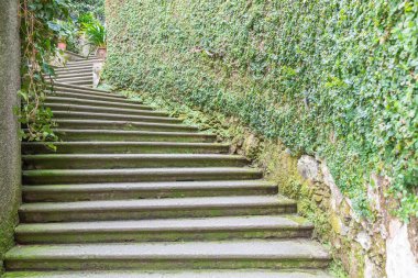 Doğadaki eski merdivenler. Bahçe mimarisi tasarımı, tarihi kaldırımlı yeşil doğal yol