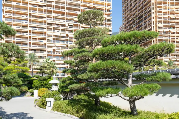 Monte Carlo Augustus 2022 Japanse Tuin Met Stad Achtergrond Stockafbeelding