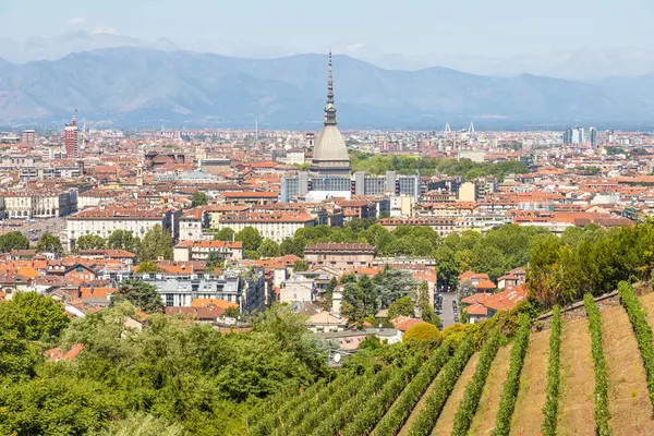 Turin Italy August 2022 Panorama Mole Antonelliana Monument Wineyard Alps Royalty Free Stock Photos