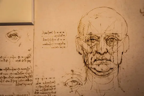 Τορίνο Ιταλία Απρίλιος 2023 Σχέδια Leonardo Vinci Χειροποίητο Βαμβακερό Χαρτί Φωτογραφία Αρχείου