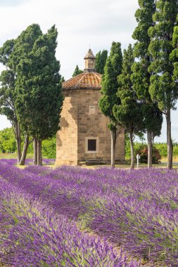 İtalya 'daki lavanta hatları. Gün batımında gökyüzü ve bulutlarla Toskana manzarası
