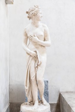 Possagno, İtalya - Haziran 2024: Heykeltıraş Antonia Canova 'nın Venüs heykeli, 1820, alçı.