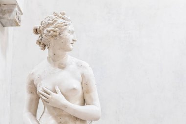 Possagno, İtalya - Haziran 2024: Heykeltıraş Antonia Canova 'nın Venüs heykeli, 1820, alçı.