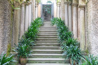 Doğadaki eski merdivenler. Bahçe mimarisi tasarımı, tarihi kaldırımlı yeşil doğal yol