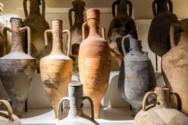 Comacchio, İtalya - 11 Haziran 2024, Delta Antika Müzesi içi. Akdeniz amforaları. İtalyan ve Yunan şarabı ve yağ kabı.