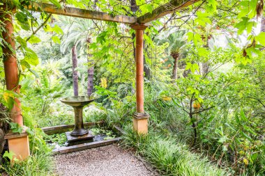 Romantik bahçe geçidi baharda yeşil bir tünel oluşturuyor.