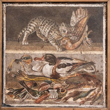 Pompeii 'den kalma Antik Roma mozaiği Napoli Arkeoloji Müzesi' nde sergilenmekte, kedi, kuş ve balık tasvir edilmektedir. M.Ö. 1. yüzyıl
