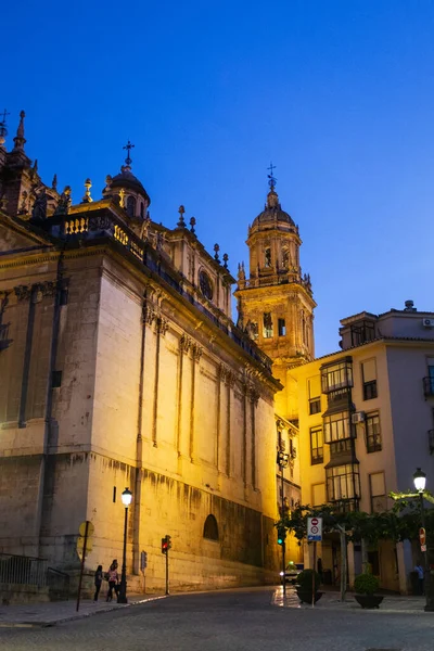 Jaen Spain May 2022 Side View Cathedral Jaen Night One — Stock Photo, Image