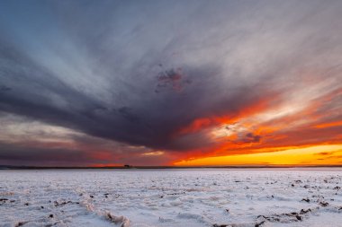Penahueca Gölü 'nün geniş açılı görüntüsü, Toledo bölgesindeki bir hipertuzlu sulak alan..