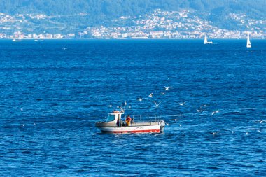 PONTEVEDRA, SPAIN - 18 Ağustos 2022: Yalnız bir balıkçı, İspanya 'nın Ria de Pontevedra kentindeki bir martı sürüsüyle çevrili ağlarını suya atar.