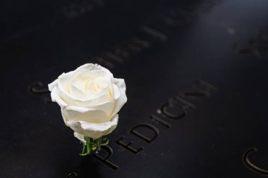 NEW YORK CITY - 18 Mayıs 2024: Düşük Manhattan, New York City 'deki 911 Anıtı' na yerleştirilen yalnız bir beyaz gül, anıta kazınmış yansıtıcı isimlere karşı sığ bir alan derinliği ile yakalandı.