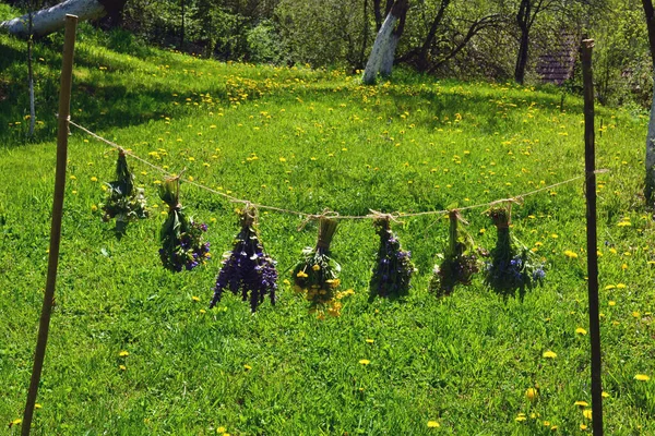 Bahçede Kurutmak Için Sallanan Çeşitli Taze Otlardan Buketler — Stok fotoğraf