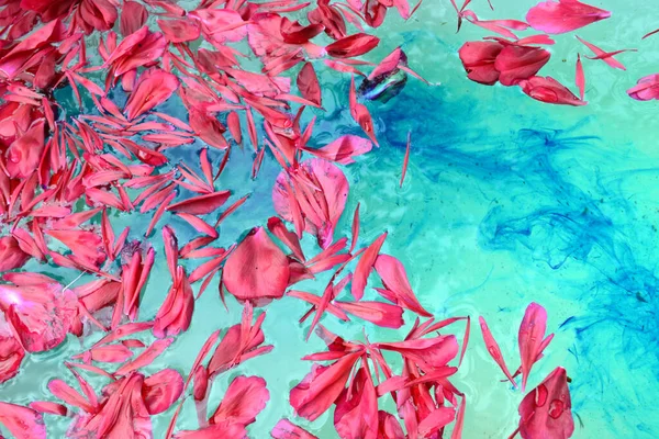 Pétalos Rosados Flores Flotando Superficie Agua Azul Vista Superior — Foto de Stock