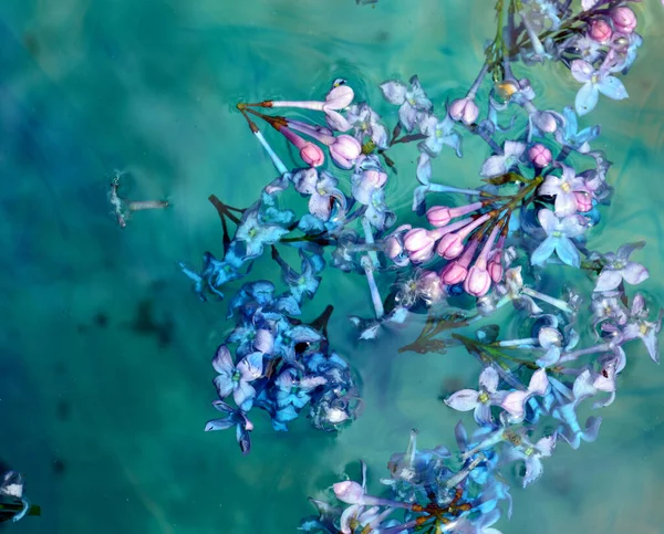 Ebru Etkisiyle Yeşil Suyun Üzerinde Süzülen Leylak Çiçekleri — Stok fotoğraf