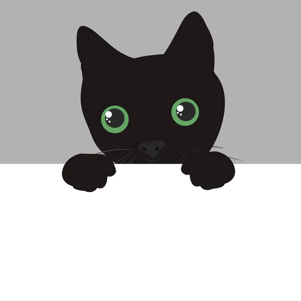 Leuke Zwarte Kat Gezicht Bespioneren — Stockvector
