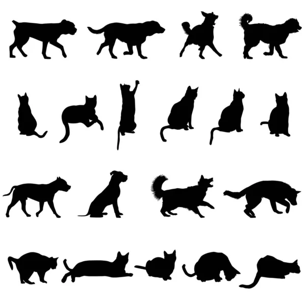 Silhouette Von Hunden Und Katzen Isoliert Auf Weißem Hintergrund — Stockvektor