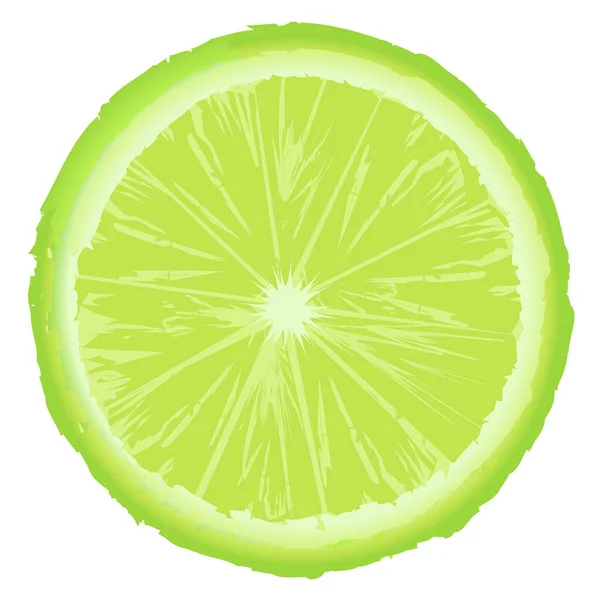 Green Lemon Slice Isolated White Background — Stock Vector