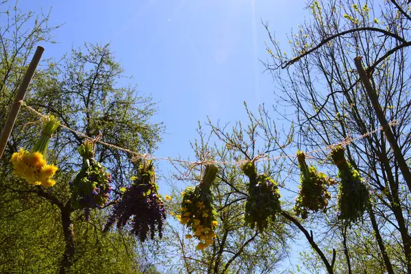 Blumensträuße Und Heilpflanzen Hängen Zum Trocknen Über Dem Blauen Himmel — Stockfoto