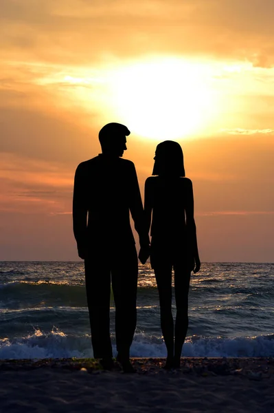 Back silhouettes of a couple in love holding hands at the seashore at sunrise