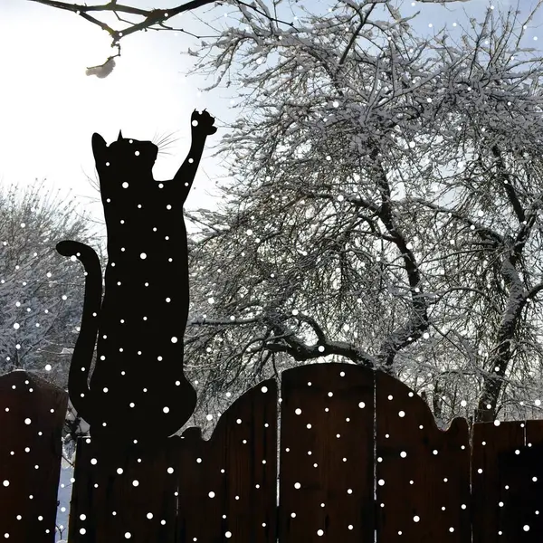 Zimowe Tło Czarnym Kotem Płocie — Zdjęcie stockowe