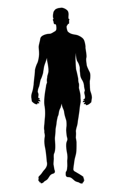 Muž Tělo Silueta Izolované Bílém Pozadí — Stockový vektor