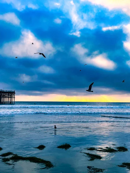 Atardecer Pacific Beach California —  Fotos de Stock